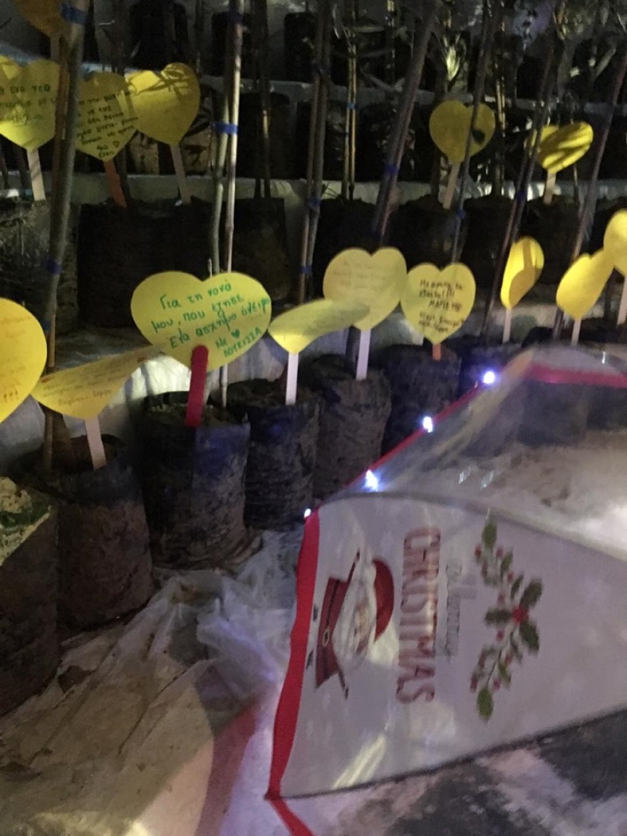  Τα παιδιά «πρασινίζουν» το Μάτι!