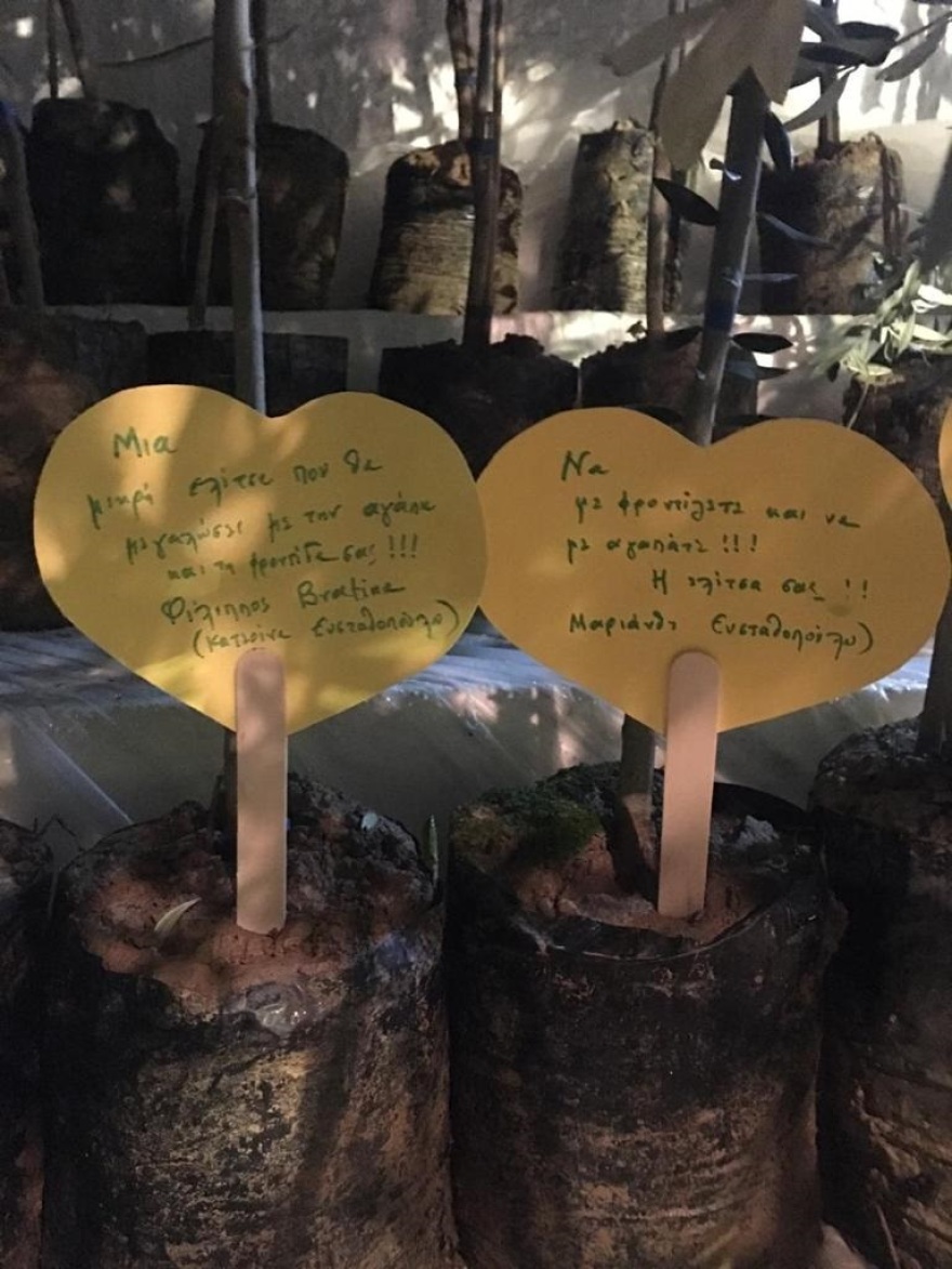  Τα παιδιά «πρασινίζουν» το Μάτι!