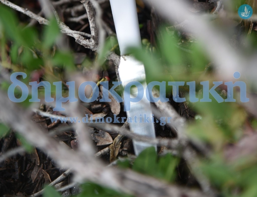 Υπόθεση Τοπαλούδη: Φρικιαστικές λεπτομέρειες μέσα από το σπίτι του φονικού