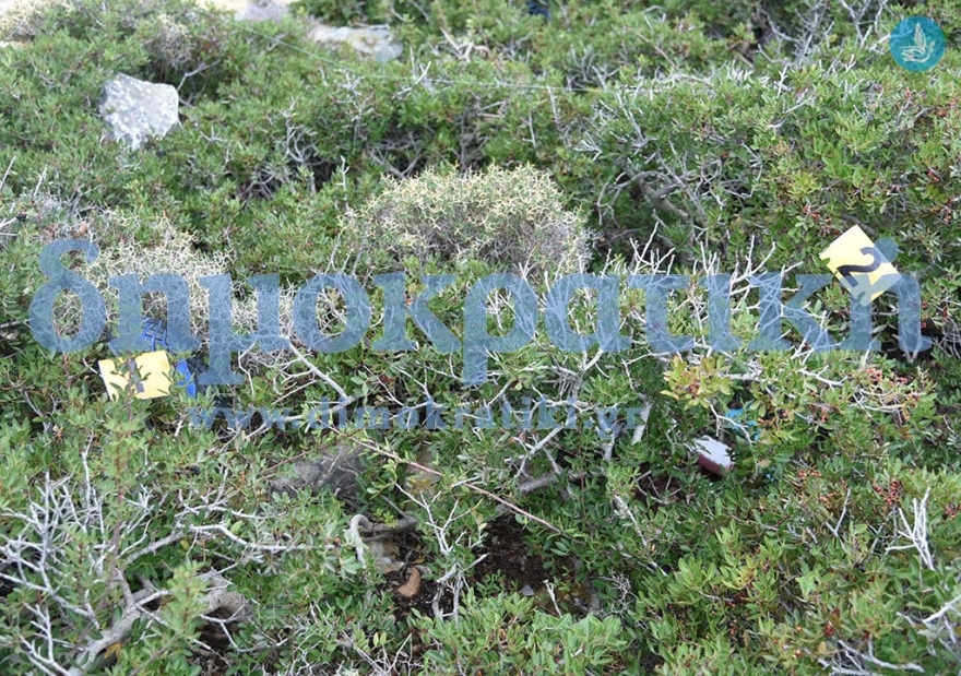 Υπόθεση Τοπαλούδη: Φρικιαστικές λεπτομέρειες μέσα από το σπίτι του φονικού