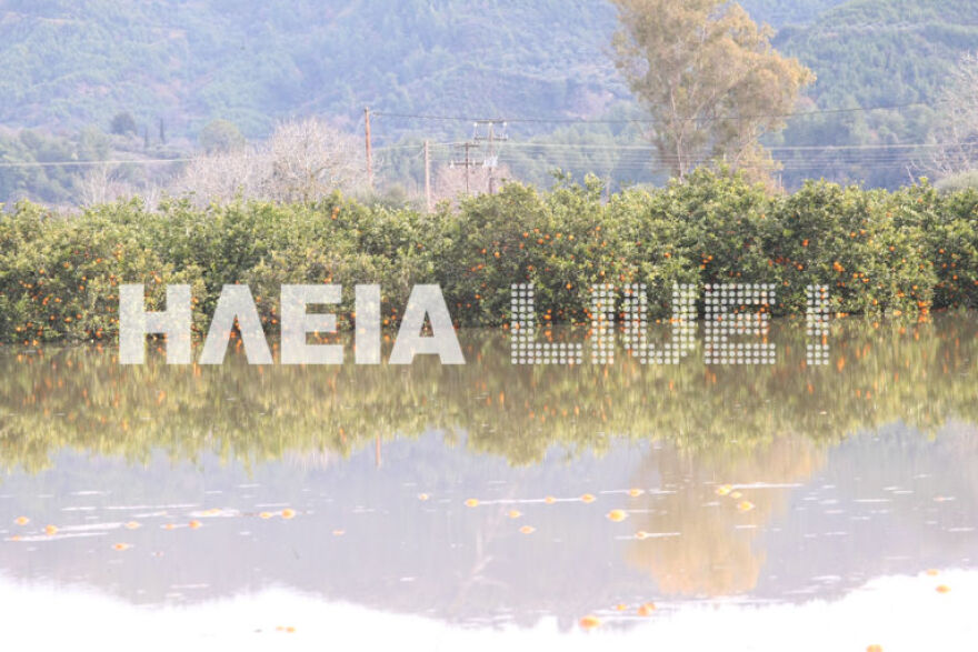 Ηλεία: Οι πλημμύρες μετέτρεψαν σε λίμνη τον κάμπο του Αλφειού!