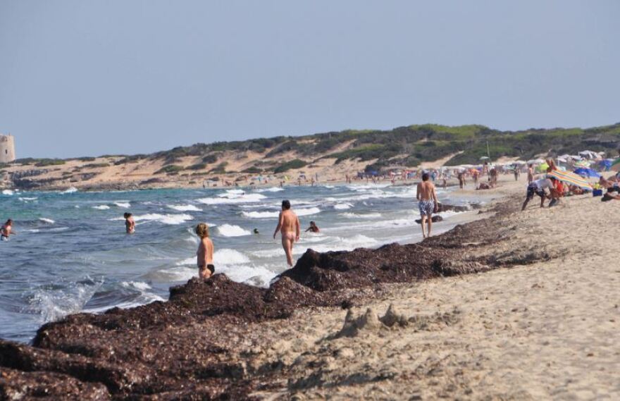 Ίμπιζα: Ξαναμμένα ζευγάρια και swingers καταστρέφουν διάσημη παραλία κάνοντας σεξ... στους αμμόλοφους!