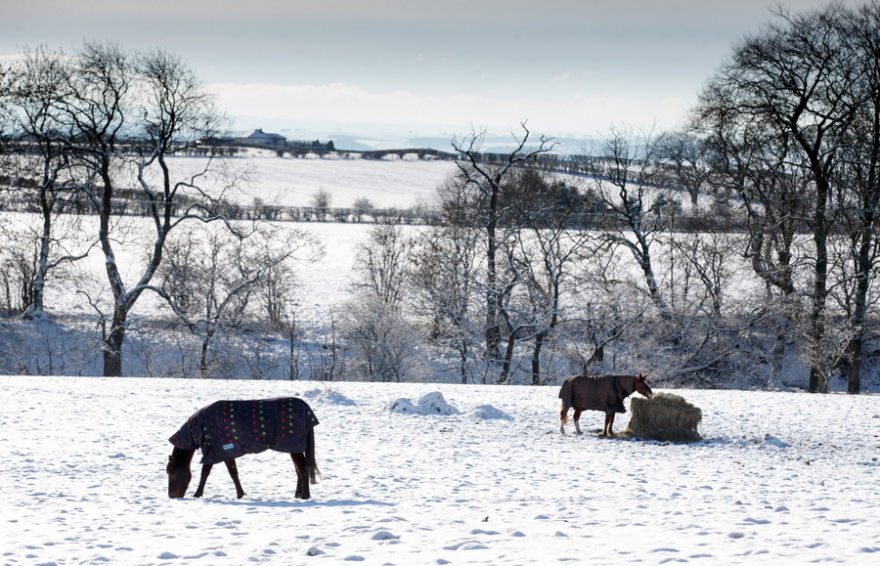 Βρετανία: Στους -15 βαθμούς Κελσίου η θερμοκρασία – Τουλάχιστον 2.000 σχολεία κλειστά