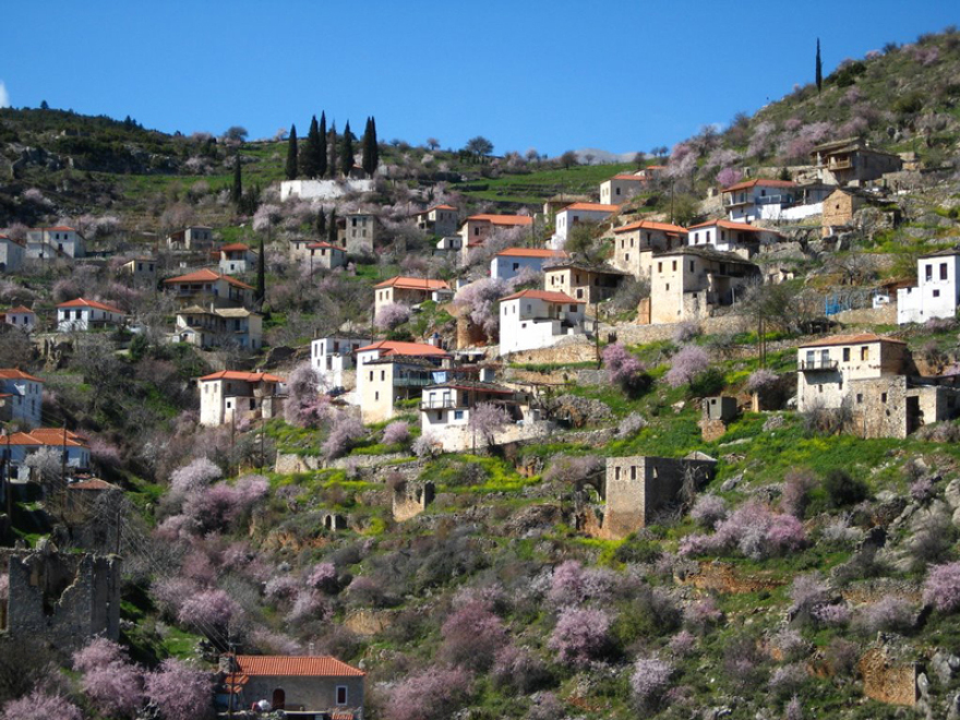 Οι Τσάκωνες: Eτυμολογία του ονόματός τους, ιστορία, γλώσσα