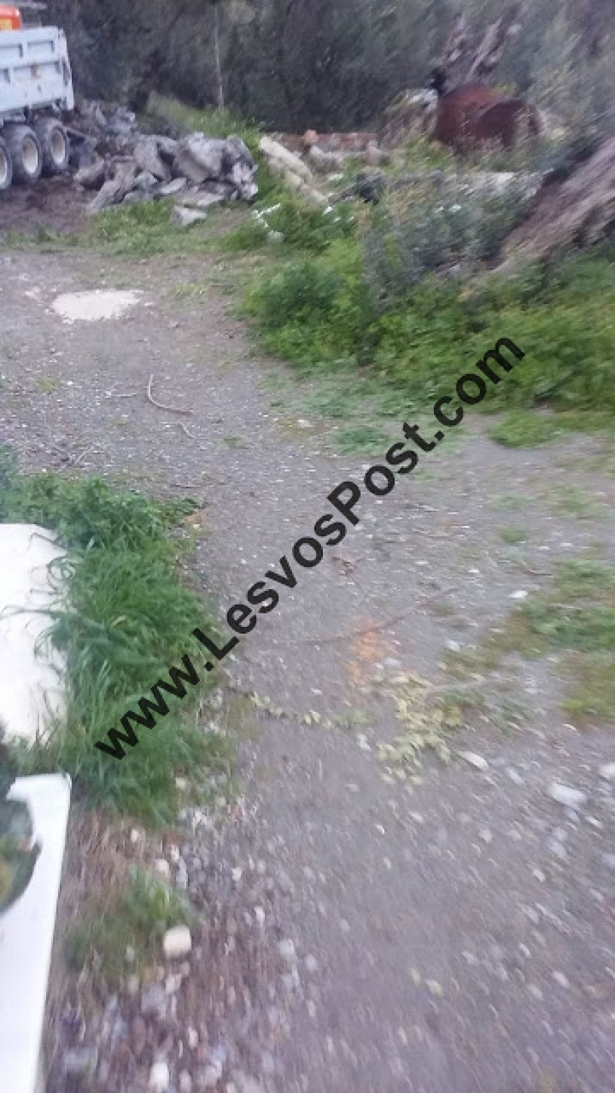 Εικόνες σοκ στο Πλωμάρι Λέσβου: Πέταξαν ανθρώπινα οστά στη μέση του δρόμου