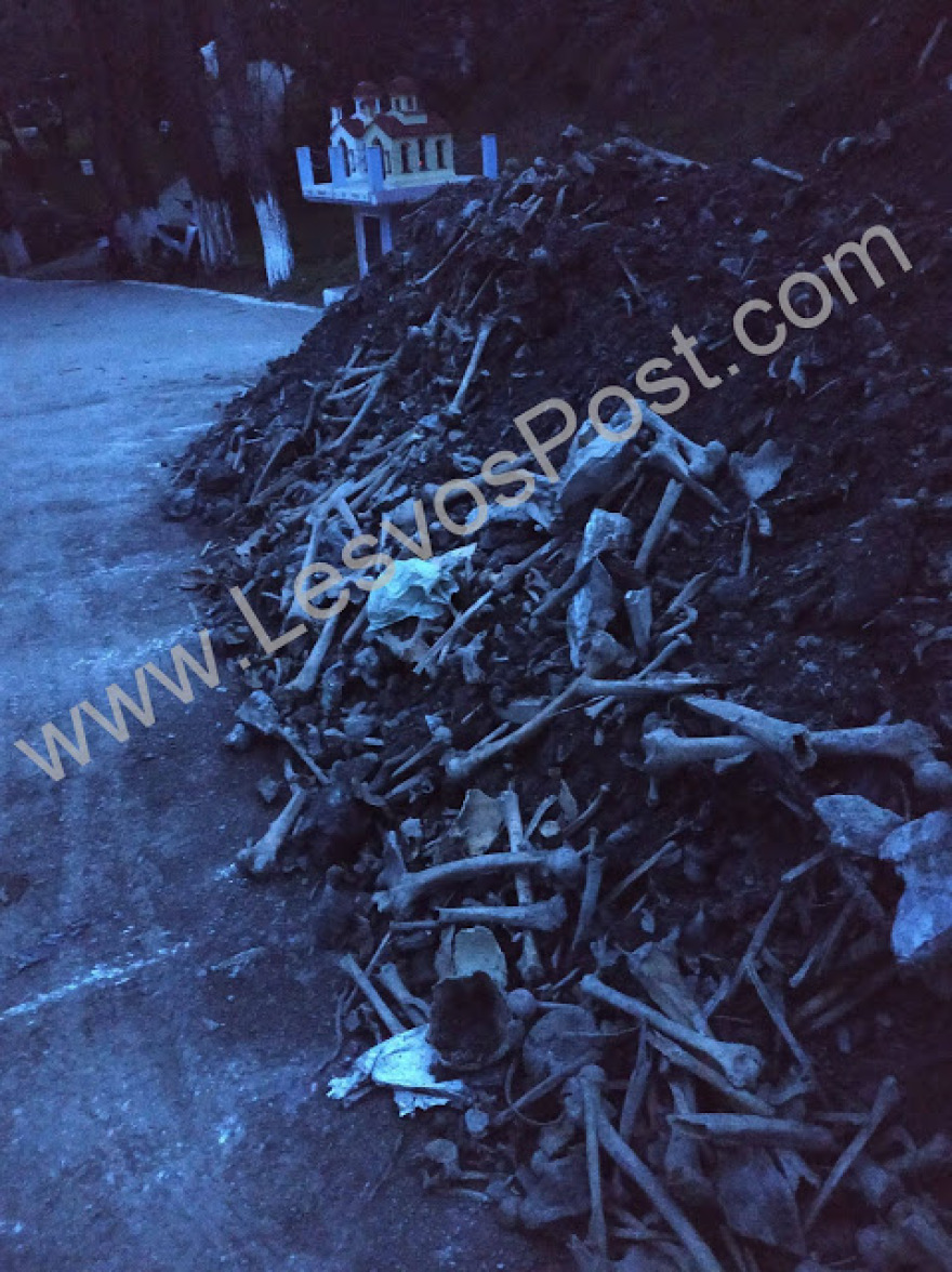 Εικόνες σοκ στο Πλωμάρι Λέσβου: Πέταξαν ανθρώπινα οστά στη μέση του δρόμου