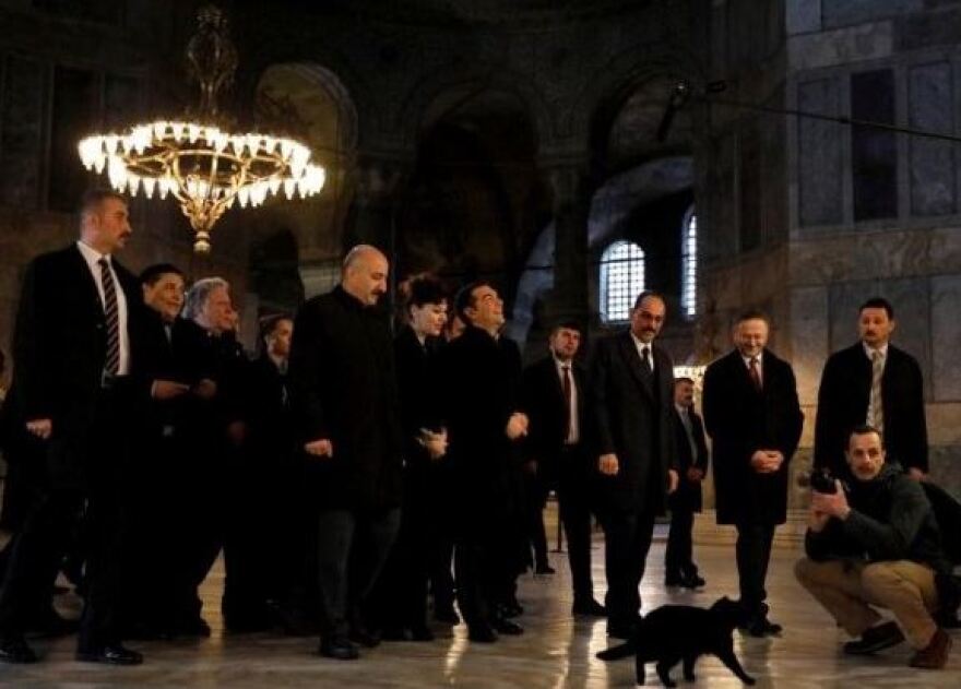  Ο Τσίπρας στην Αγιά Σοφιά και η υποδοχή του από... μία μαύρη γάτα - Βίντεο