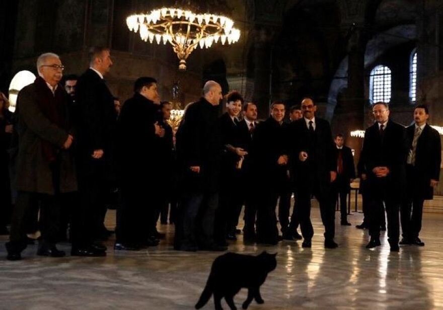  Ο Τσίπρας στην Αγιά Σοφιά και η υποδοχή του από... μία μαύρη γάτα - Βίντεο
