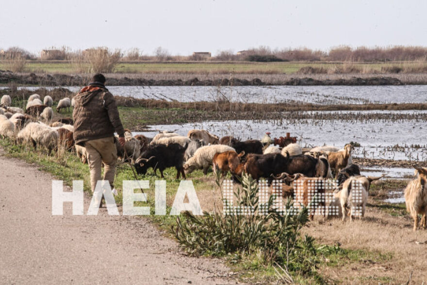 Ηλεία: Ξανάγινε... λίμνη η Αγουλινίτσα