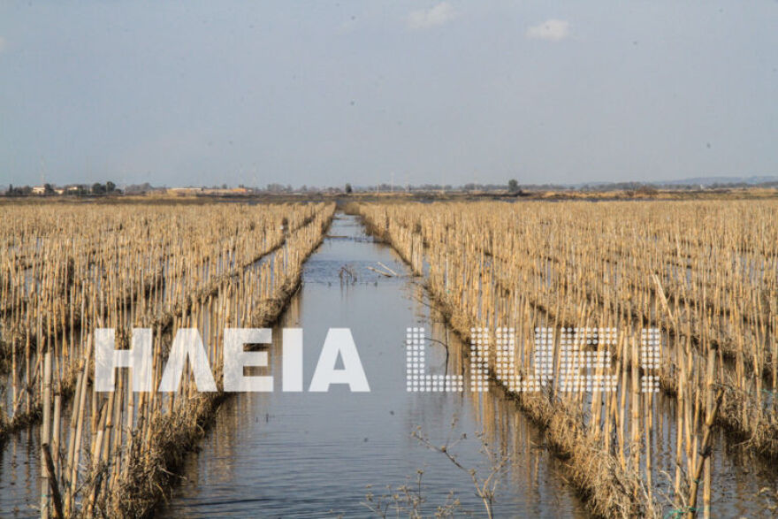 Ηλεία: Ξανάγινε... λίμνη η Αγουλινίτσα