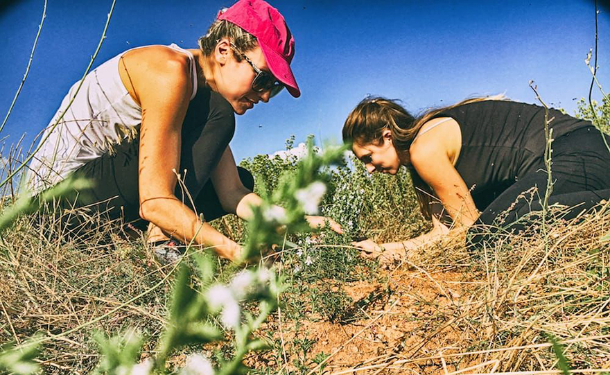 Οι θυγατέρες της «Οινώνης»