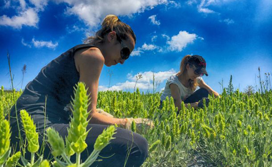 Οι θυγατέρες της «Οινώνης»