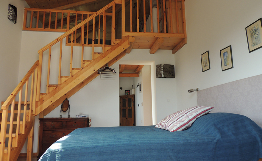 Το κτήμα της τρελής γάτας