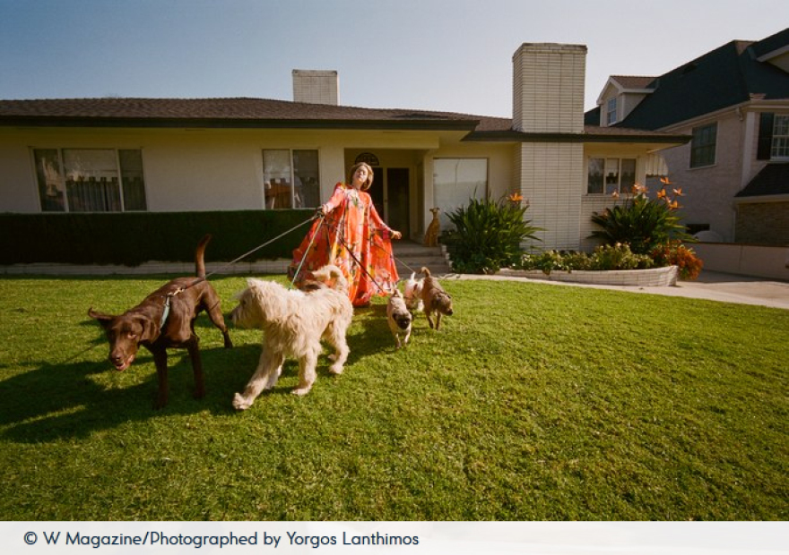 Η Έμα Στόουν ποζάρει στον φωτογραφικό φακό του Γιώργου Λάνθιμου 