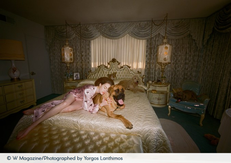 Η Έμα Στόουν ποζάρει στον φωτογραφικό φακό του Γιώργου Λάνθιμου 