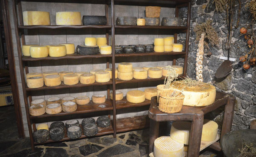 Τα ευπαθή τυριά των Κυκλάδων!