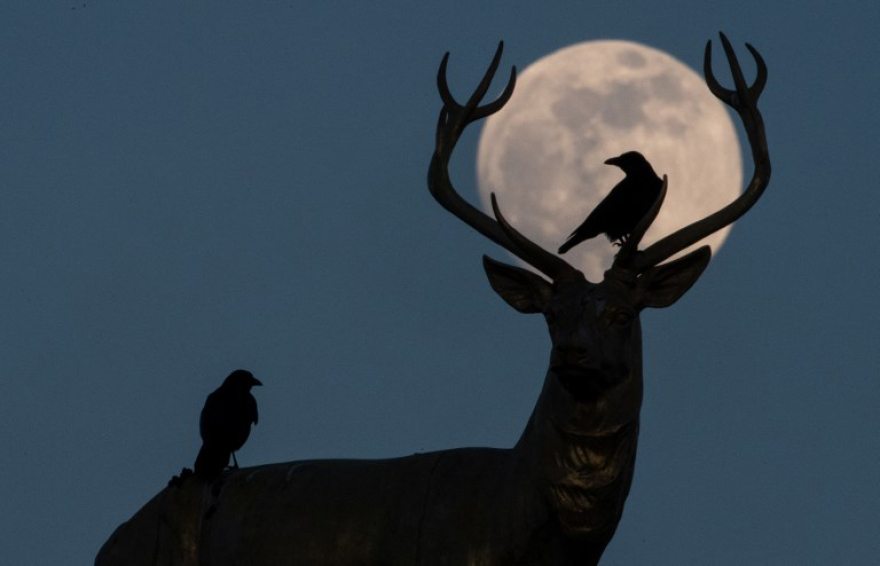 Φωτογραφίες: Μαγική υπερπανσέληνος στην Ακρόπολη και όλο τον κόσμο!