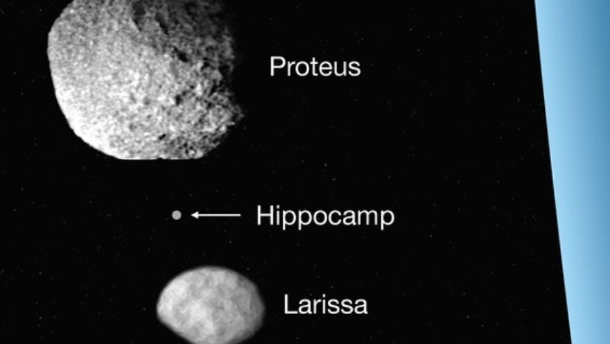 Ιππόκαμπος... από την ελληνική μυθολογία το νέο φεγγάρι του Ποσειδώνα