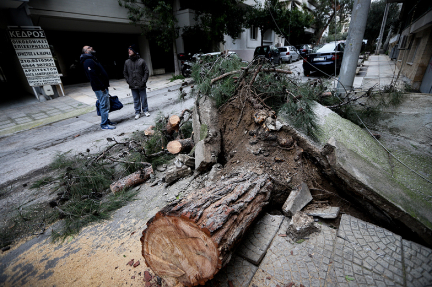 Δένδρο καταπλάκωσε 12 αυτοκίνητα στη Νέα Σμύρνη