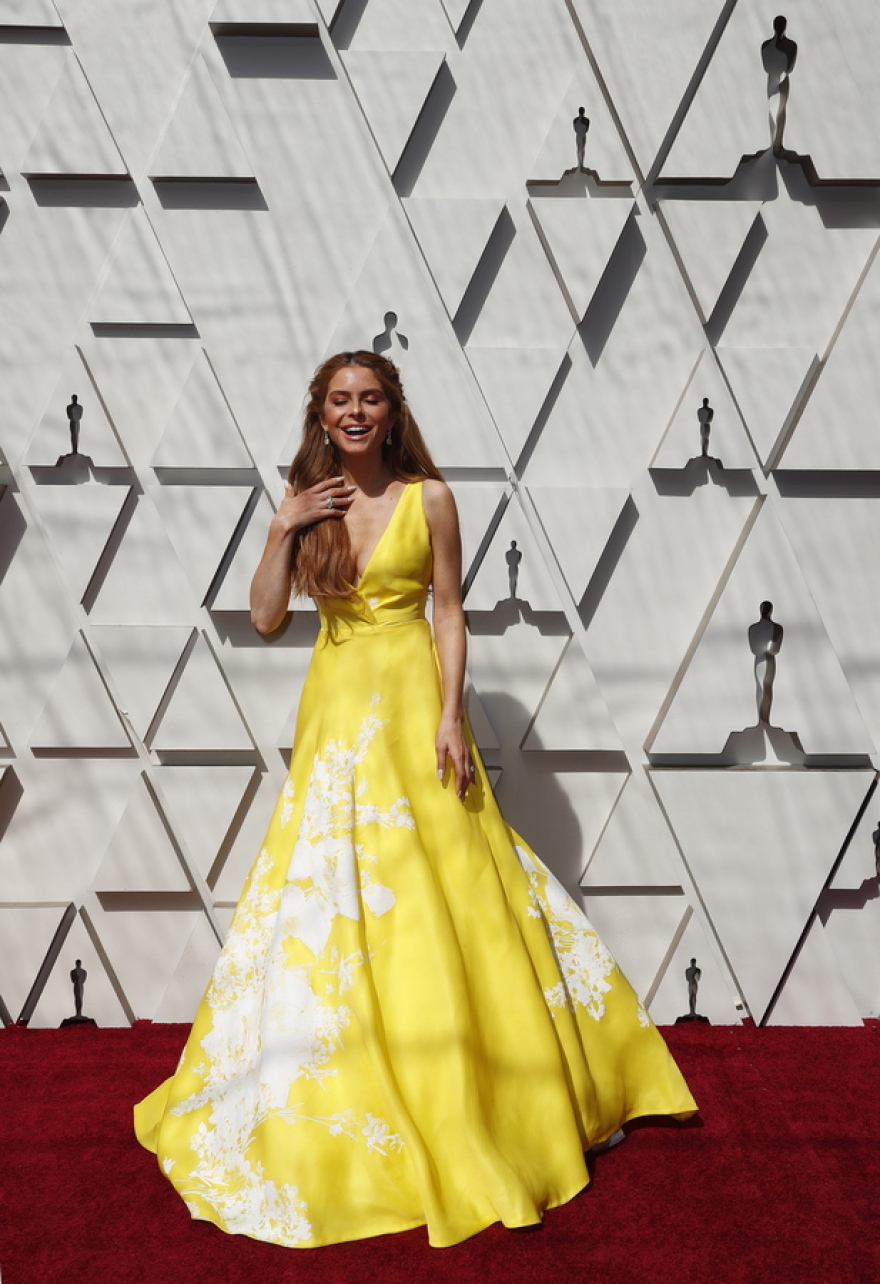 Το κόκκινο χαλί των Όσκαρ 2019: Δείτε τις πιο εντυπωσιακές παρουσίες