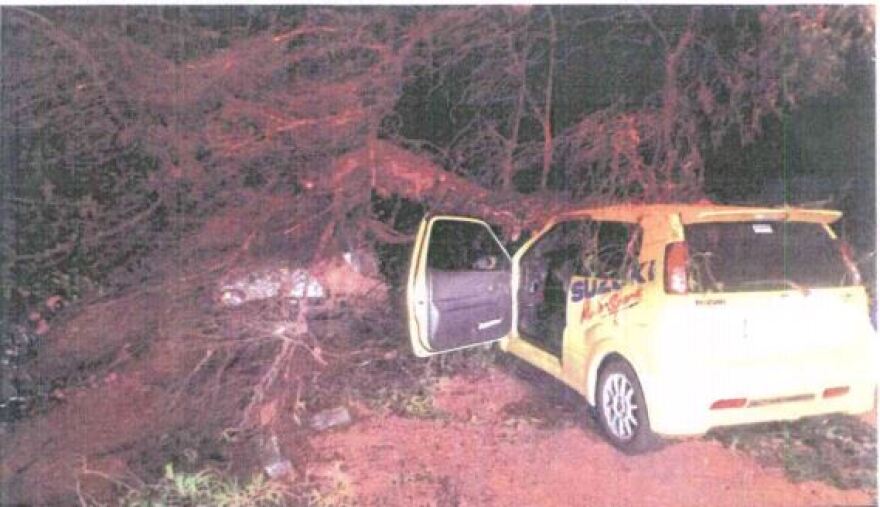 Φρικτό ατύχημα στην Αθηνών - Λαμίας: Αστυνομικός έμεινε ανάπηρος από πτώση δέντρου