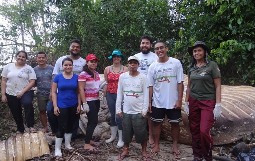 Βραζιλία: Φάλαινα βρέθηκε νεκρή στη ζούγκλα του Αμαζονίου