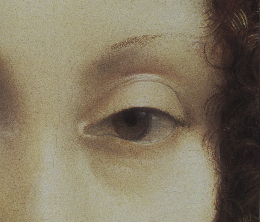  Λεονάρντο ντα Βίντσι: Από τον homo universalis στον προφήτη και τον μάγο 