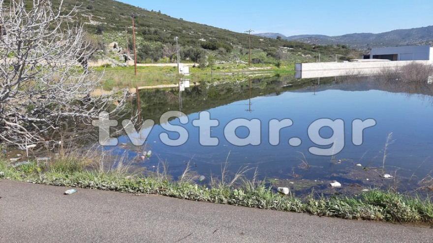 Η γη αναβλύζει νερό στη Χαλκίδα - Κάτοικοι εγκαταλείπουν τα σπίτια τους