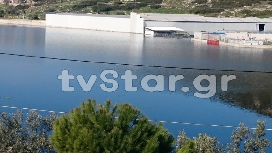 Η γη αναβλύζει νερό στη Χαλκίδα - Κάτοικοι εγκαταλείπουν τα σπίτια τους