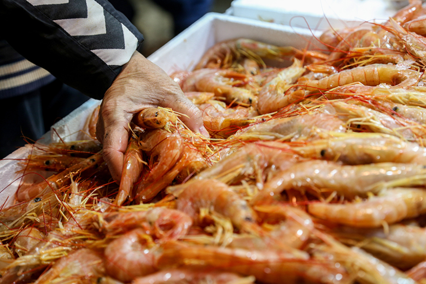 Καθαρά Δευτέρα - Σαρακοστή: Συμβουλές από τον ΕΦΕΤ για τη σωστή επιλογή των τροφίμων