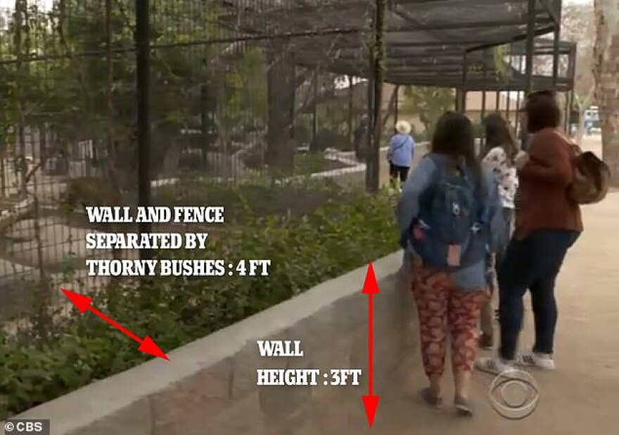 Ζητάει και τα ρέστα η γυναίκα που ήρθε τετ-α-τετ με τζάγκουαρ για να βγάλει φωτογραφία