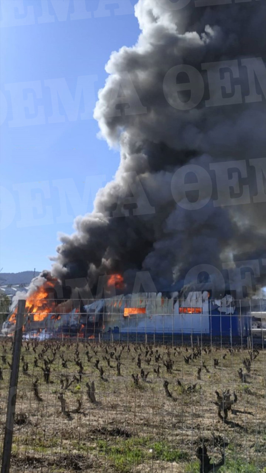 Ολοσχερής καταστροφή αποθήκης με φαρμακευτικό υλικό από τη μεγάλη φωτιά στα Γλυκά Νερά 