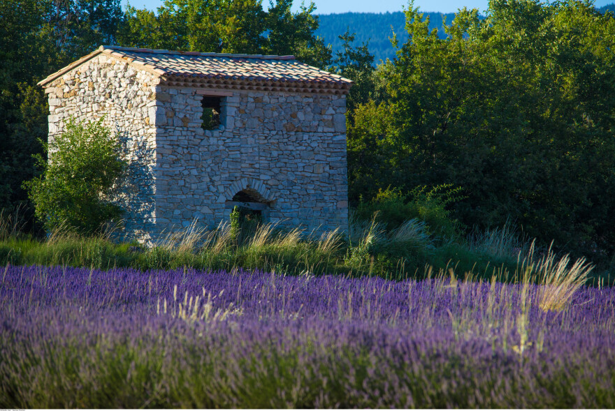 Γαλλία: Το «Νο 1» του τουρισμού δεν φοβάται τα «Κίτρινα Γιλέκα» και αγαπά τους Έλληνες