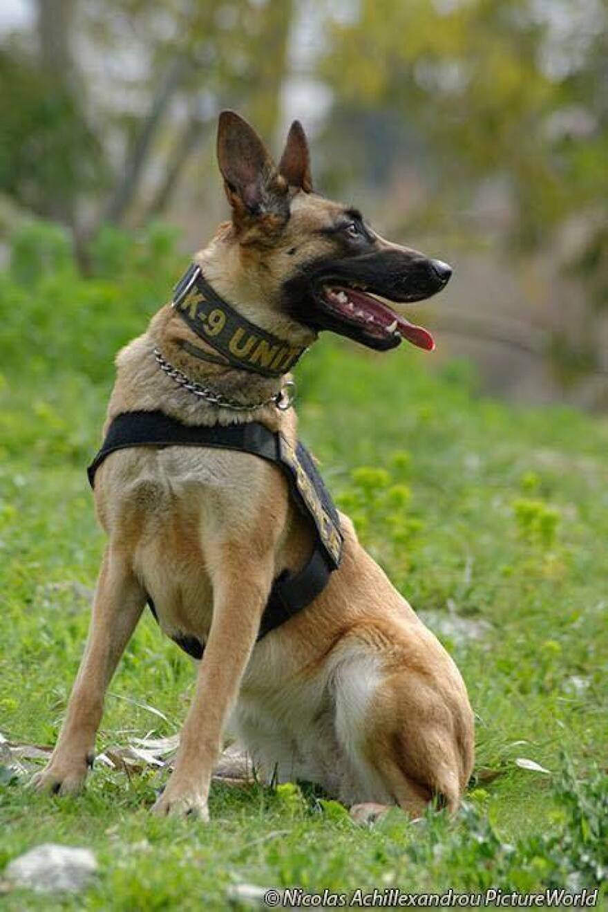 Στο κυνήγι των εμπόρων ναρκωτικών της Μυκόνου το Λιμενικό