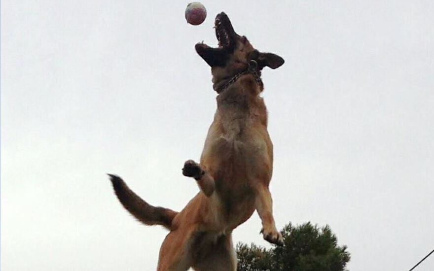 Στο κυνήγι των εμπόρων ναρκωτικών της Μυκόνου το Λιμενικό