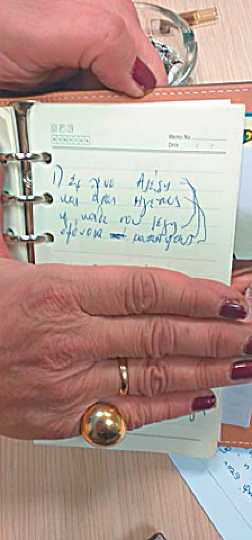 Θεοδώρα Μεγαλοοικονόμου: Από τη Βέμπο μέχρι  τον Αλέξη 