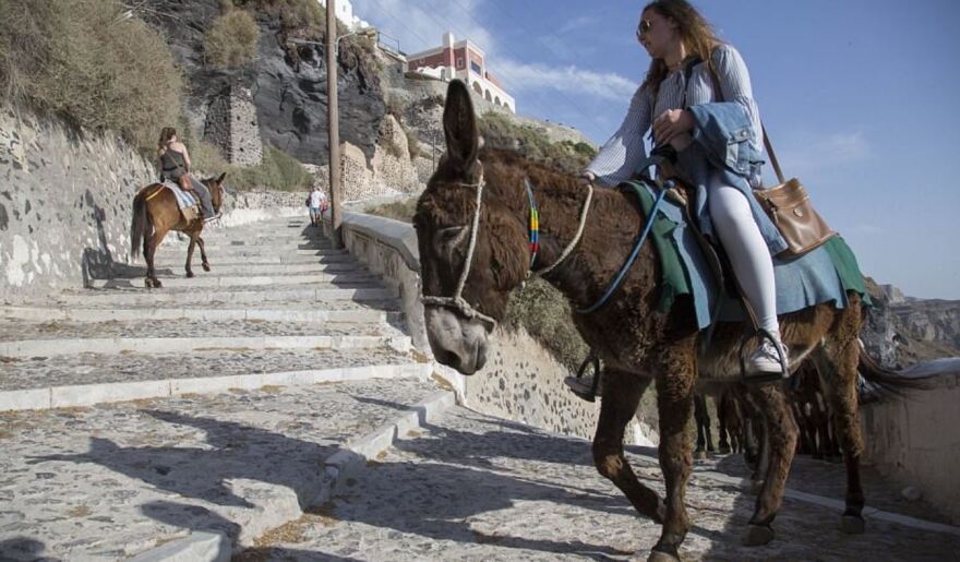 Guardian:  «Μπείτε στη θέση τους» - Καμπάνια ευαισθητοποίησης για τα γαϊδουράκια της Σαντορίνης