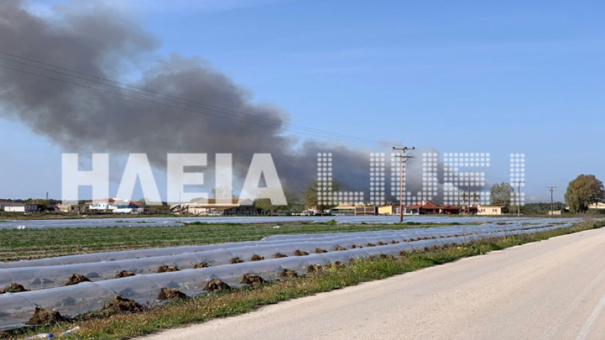 Ηλεία: Ολονύχτια μάχη με τις φλόγες στο προστατευόμενο δάσος της Στροφυλιάς