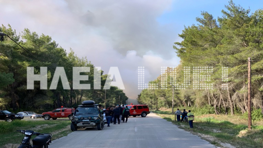 Ηλεία: Ολονύχτια μάχη με τις φλόγες στο προστατευόμενο δάσος της Στροφυλιάς