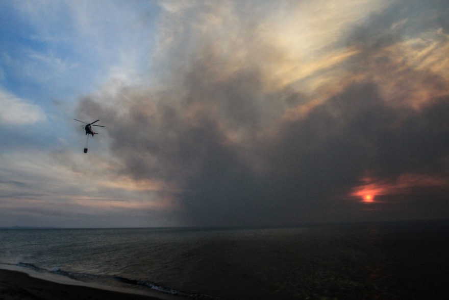 Δάσος της Στροφυλιάς: Φωτογραφίες αποτυπώνουν τον όλεθρο της φωτιάς