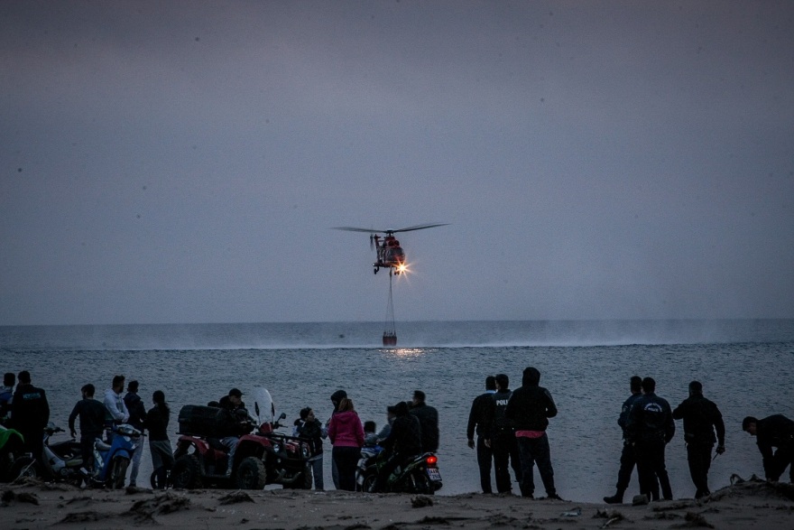 Δάσος Στροφυλιάς: Έγινε καμένη γη από «Διαμάντι της Πελοποννήσου…»