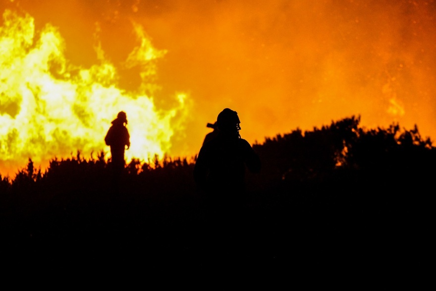 Δάσος Στροφυλιάς: Έγινε καμένη γη από «Διαμάντι της Πελοποννήσου…»