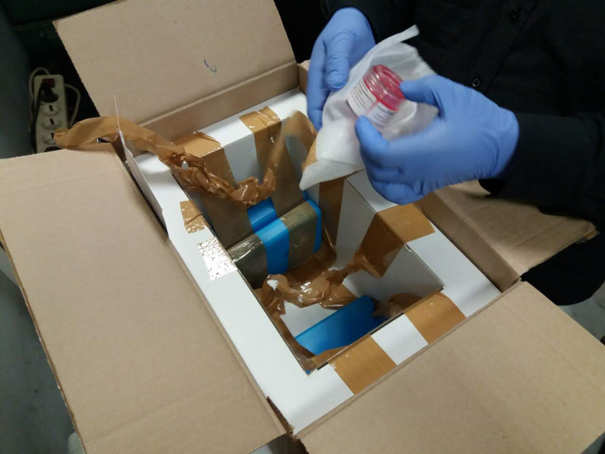 Τελωνειακοί σταμάτησαν εμπόριο οργάνων στο αεροδρόμιο «Μακεδονία» - Δείτε φωτογραφίες