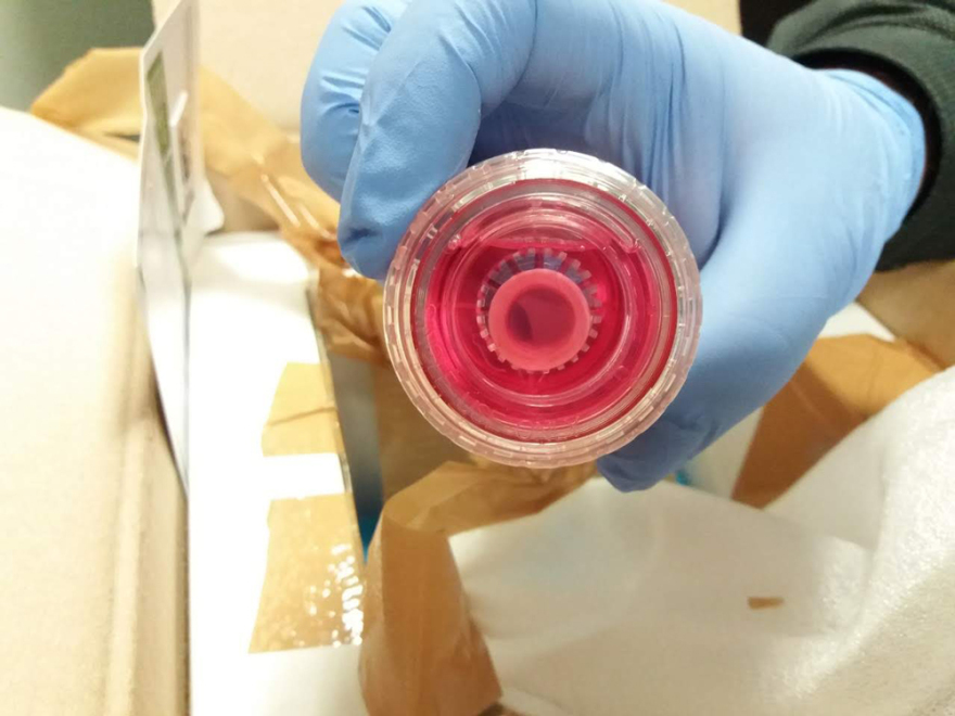 Τελωνειακοί σταμάτησαν εμπόριο οργάνων στο αεροδρόμιο «Μακεδονία» - Δείτε φωτογραφίες