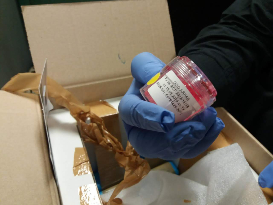 Τελωνειακοί σταμάτησαν εμπόριο οργάνων στο αεροδρόμιο «Μακεδονία» - Δείτε φωτογραφίες