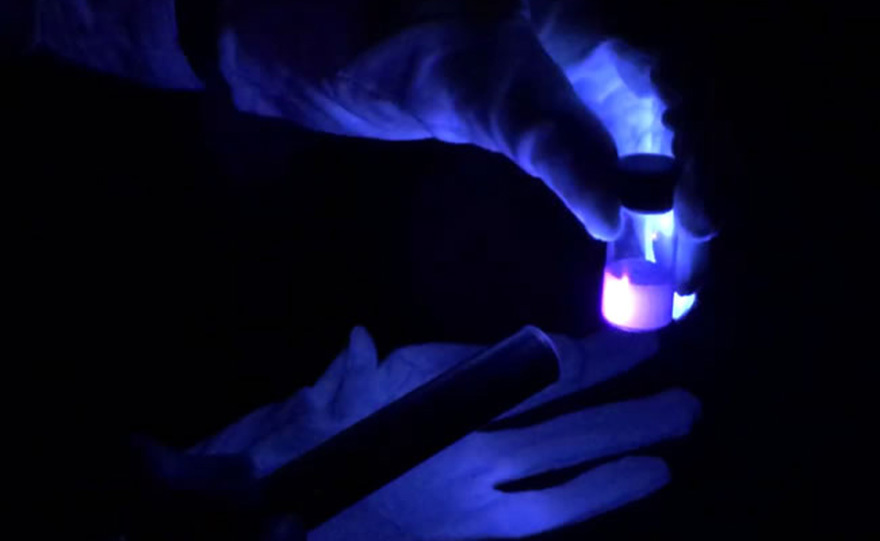 Το «Μπλε» της Όλγας