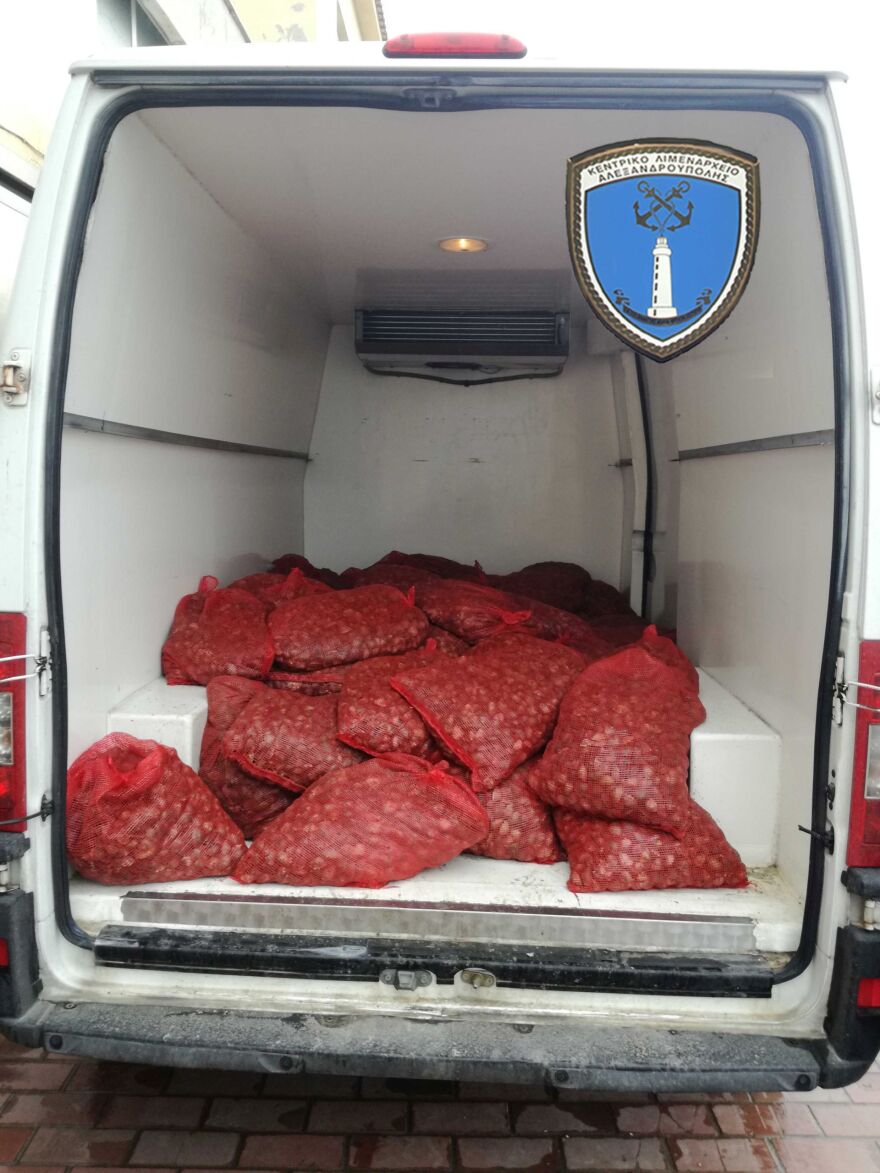  Ακατάλληλα όστρακα 2,5 τόνων κατασχέθηκαν  στον Έβρο