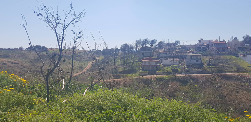 Συγκίνηση στο Μάτι: Ένας σταυρός στη μνήμη της ακτινολόγου που κάηκε αγκαλιά με τα δίδυμά της