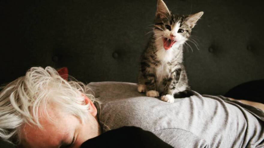 Embassy Cat: Τι απέγινε η γάτα του Ασάνζ που του έκανε παρέα στην πρεσβεία