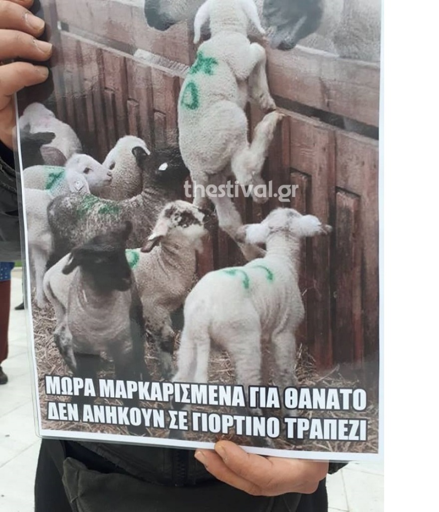 Θεσσαλονίκη:  Στο δρόμο οι vegan κατά της εκμετάλλευσης των ζώων 
